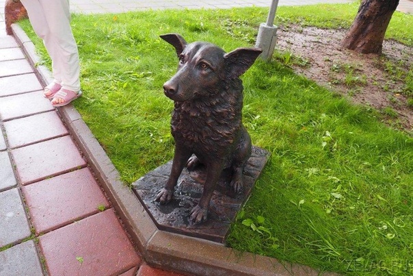 Памятник собаке Мухе